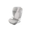 Thule Palm car seat cover